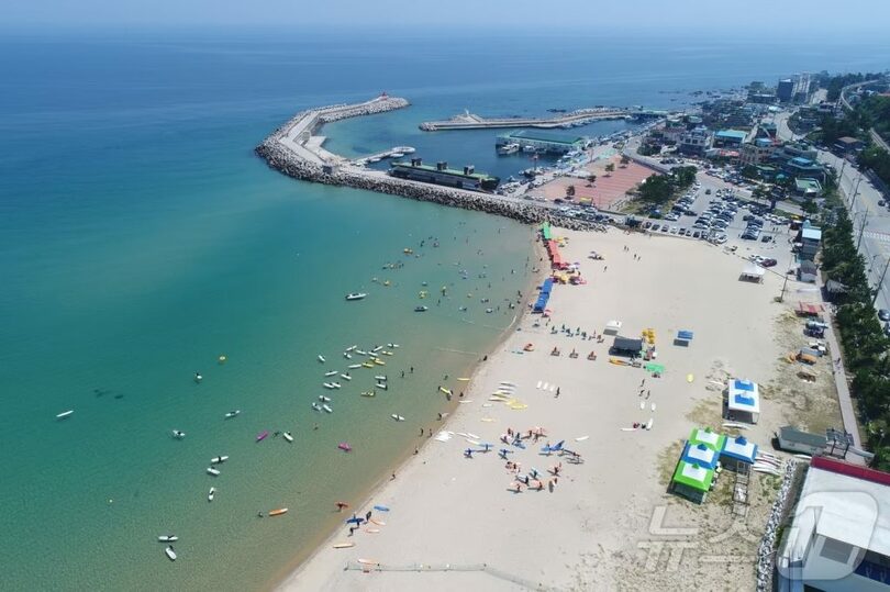 大津海岸でサーフィンを楽しむ＝東海市庁提供(c)news1