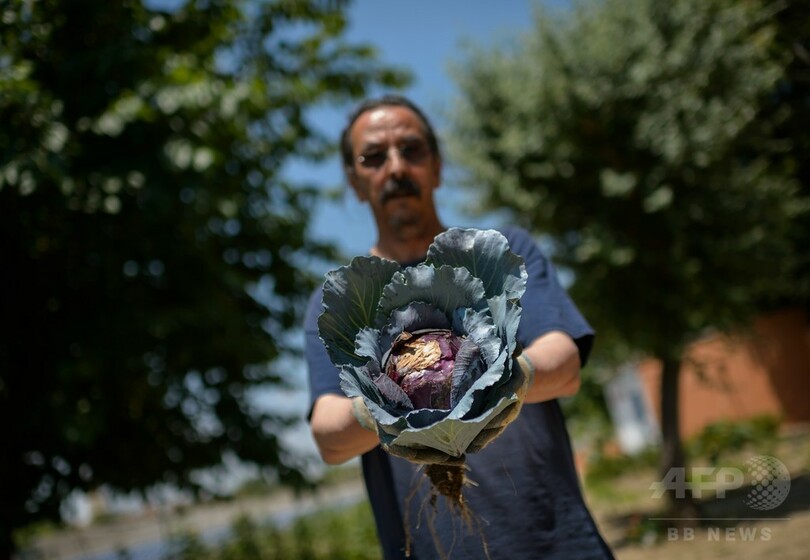 バブル後の空き地を都市菜園に、スペイン