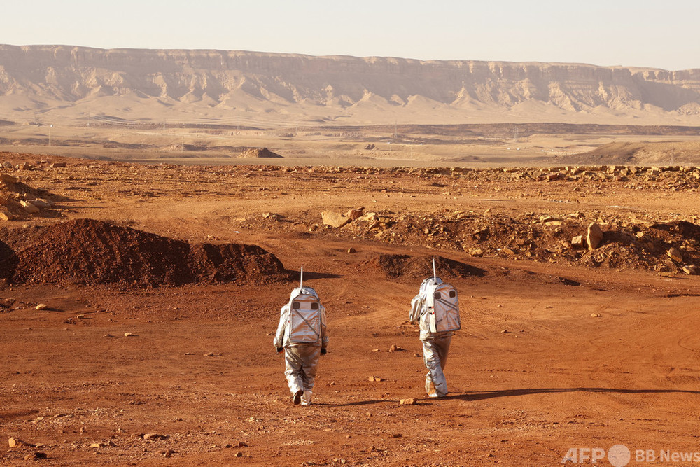 Syntrichia caninervis