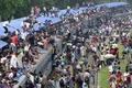 バングラデシュの首都ダッカ（Dhaka）で、犠牲祭を家族と過ごすために帰省する人たちで混雑した列車（2014年10月3日撮影）。(c)AFP/Munir uz ZAMAN