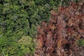 ブラジル・パラ州を通る幹線道路近くの森林火災跡を捉えた航空写真（2019年9月14日撮影）。(c)NELSON ALMEIDA / AFP