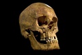 英レスター大学（University of Leicester）が公開した、15世紀のイングランド王リチャード3世（Richard III）の頭蓋骨（撮影日不明、2013年2月4日公開）。(c)AFP/HO/UNIVERSITY OF LEICESTER