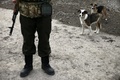 ウクライナ南東部マリウポリの郊外のサルタナ村付近にある政府軍の検問所で、政府軍兵士とイヌ（2016年2月29日撮影）。(c)AFP/ALEKSEY FILIPPOV