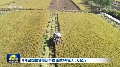 中国の食糧生産量、6年連続で6500億キロ超