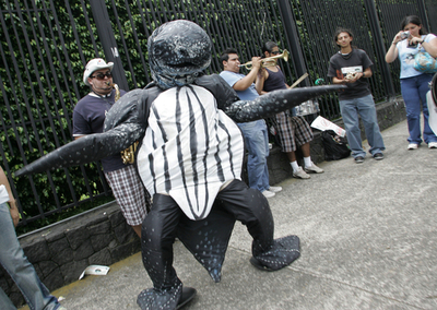 コスタリカ、大統領官邸前でカメ姿で歌う男性