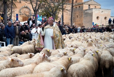 犬や馬に神の祝福を、動物の守護聖人「聖アントニオ」の日 スペイン・マヨルカ島