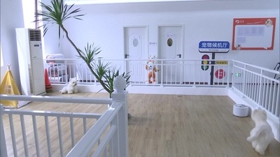 中国初のペットターミナル 深セン空港で運用開始