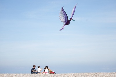 【今日の1枚】新種の鳥？ 仏でカイトフェス