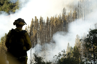 米カリフォルニアで山火事の被害広がる 発端は落雷 写真10枚 国際ニュース Afpbb News