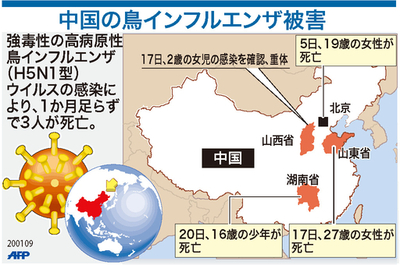 【図解】中国の鳥インフルエンザ被害