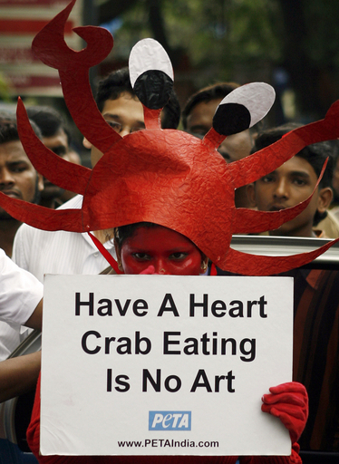 動物愛護団体PETA、カニに扮して抗議
