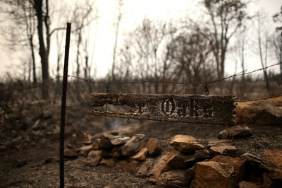 深刻な干ばつの米加州、6月の節水率は27.3％ 目標達成