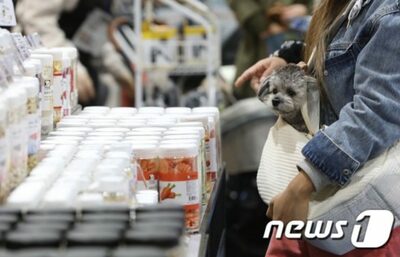 ソウルの地下鉄駅が変身…「ペット用品店」もできる