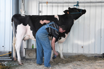 動物への抗生物質投与、サルモネラ菌の感染を助長か 米研究