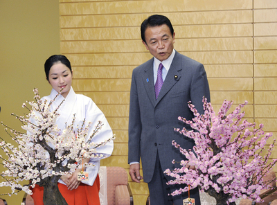 麻生首相に紅白の梅プレゼント、太宰府から「梅の使節」