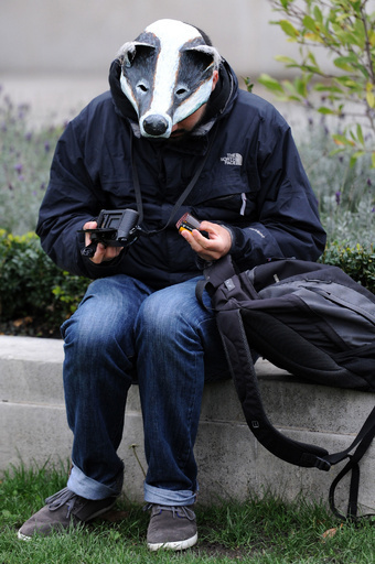 殺さないで！「踊るアナグマ」、英議会前に出現