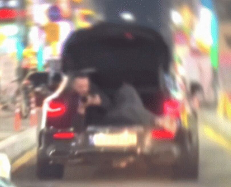 「ボベドリーム」(c)NEWSIS