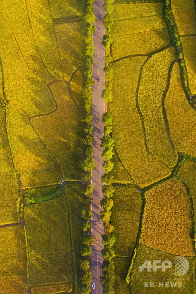 「中国で最も美しい村」 婺源の秋