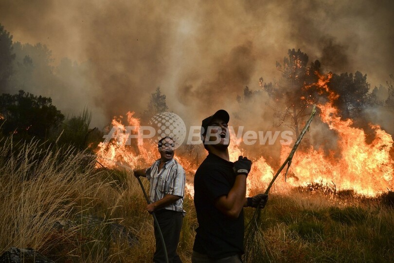 ポルトガルとスペインの山火事 火勢衰えず 写真13枚 国際ニュース Afpbb News