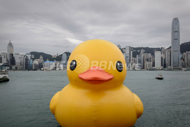 巨大な 黄色いアヒル 今度は台湾の港へ 写真1枚 国際ニュース Afpbb News