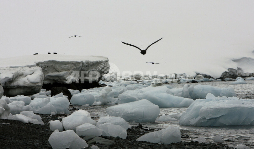 酷寒の南極大陸でペンギンが散歩