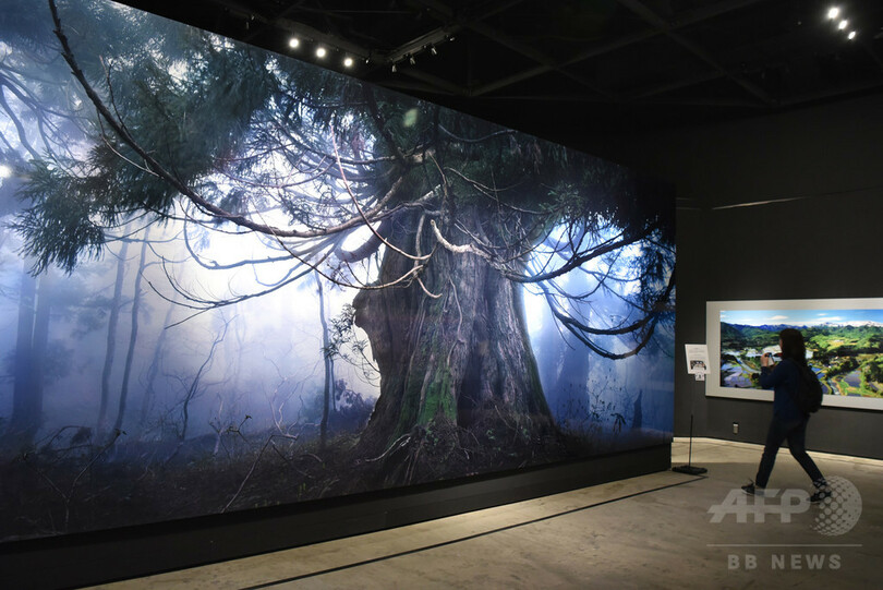 自然生態の縮図が水槽に、ネイチャーアクアリウム展　東京