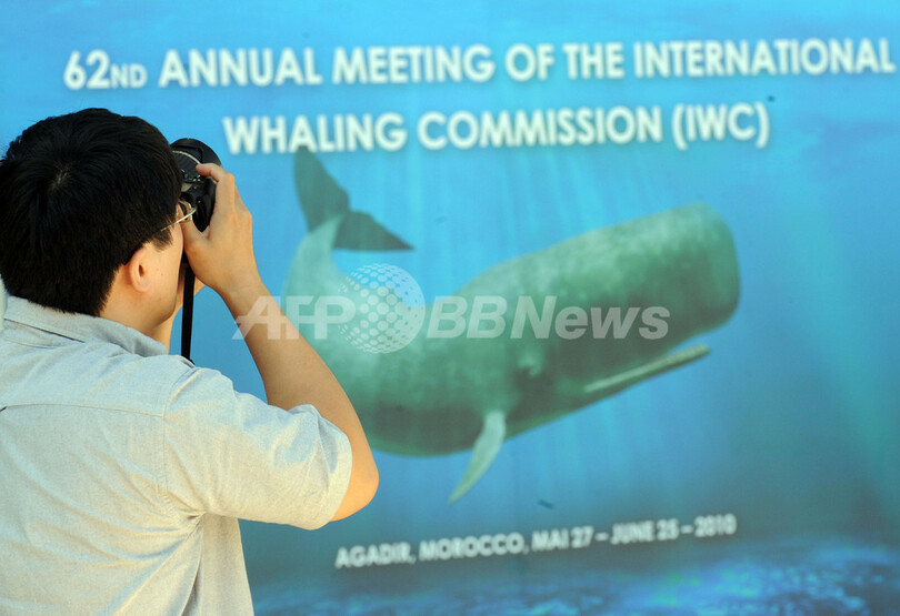 IWC議長役の滞在費を日系企業が負担、英紙