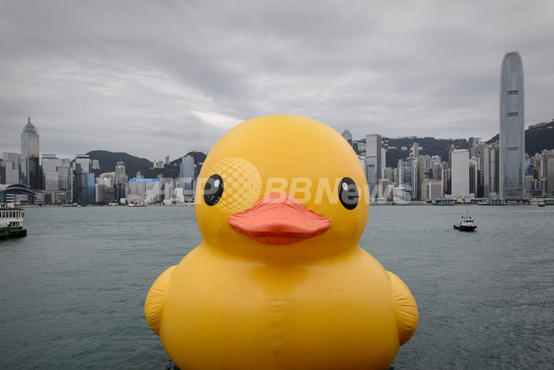 巨大な「黄色いアヒル」、今度は台湾の港へ 巨大な「黄色いアヒル」、今度は台湾の港へ