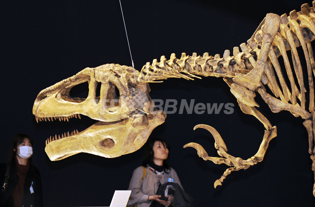 大恐竜展 国立科学博物館で14日から 国際ニュース Afpbb News