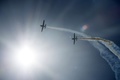 ドイツ・ベルリン（Berlin）で開催のベルリン国際航空宇宙ショー（ILA）でアクロバティックな飛行を披露する独Extra社の「330LT」（2014年5月20日撮影）。(c)AFP/JOHANNES EISELE