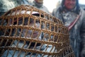スペイン南東部イビで開催された軍服姿の参加者たちが小麦粉や生卵をかけあう毎年恒例の祭り「エルス・エンファリナッツ」の様子（2019年12月28日撮影）。(c)AFP/JAIME REINA