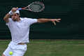 テニス、ウィンブルドン選手権（%%The Championships Wimbledon 2009%%）男子シングルス準決勝。大会第2シードのロジャー・フェデラー（%%Roger Federer%%、スイス）は、大会第24シードのトミー・ハース（%%Tommy Haas%%、ドイツ）と対戦。フェデラーは7-6、7-5、6-3のストレートでハースを退け、グランドスラム（4大大会）では通算20度目、ウィンブルドンでは7年連続となる決勝進出を果たした。写真はリターンショットを放つトミー・ハース。（2009年7月3日撮影）(c)AFP/HUGO PHILLPOTT