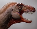 ティラノサウルス・レックスと近縁関係にある新種の恐竜（学名：Thanatotheristes degrootorum）の想像図。カナダ・カルガリー大学、ロイヤル・ティレル古生物学博物館提供（2020年2月10日提供）。(c)AFP PHOTO / University of Calgary and Royal Tyrrell Museum / Julius CSOTONYI
