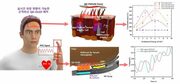 毛髪細胞増殖23％を実現…韓国発「QD-OLEDウェアラブルパッチ」