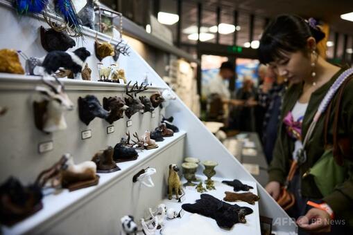 エイジングドールハウス(コンクールコンディション) 2023年 「JDAドールハウスコンテスト」の結果発表！！ – 日本ドール