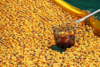 【今日の1枚】シカゴ川にゴム製アヒル、スペシャルオリンピックスを支援