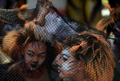 環境考える「カラコル・フェスティバル」開催、フィリピン