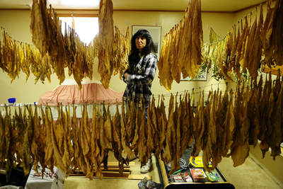 禁煙進むNYで「反乱勢力」結成、自宅の庭をタバコ農園に