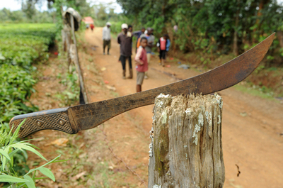 自警団と暴力団が衝突、29人死亡 ケニア