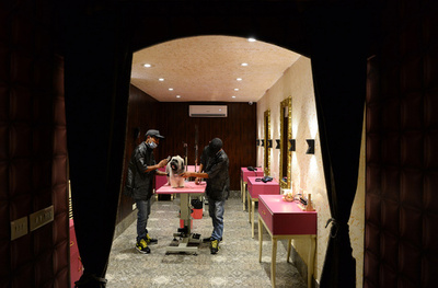 犬になりたい…至れり尽くせりの超高級ペットホテル インド