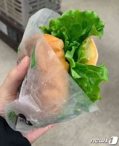 韓国のハンバーガー店、気をきかせて野菜たっぷりにしたのに…見た目がアウトだった
