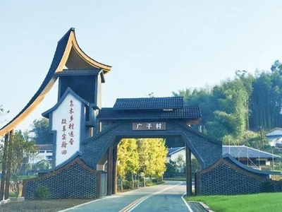 【三里河中国経済観察】村にやって来たCEO