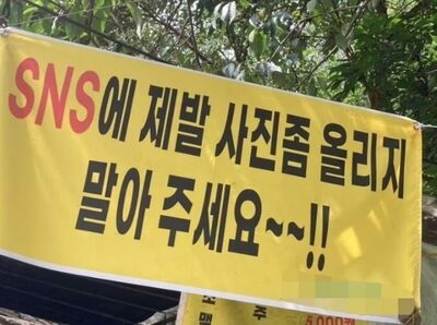 「SNS投稿禁止」掲げる韓国の飲食店、実は違法営業だった…それでも客足絶えず
