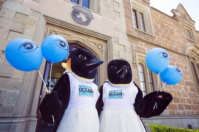 南極海の保護区設置計画、3度目の合意失敗