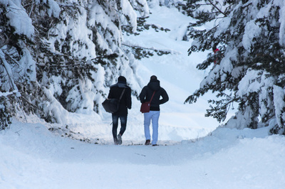 【AFP記者コラム】新しい人生へ向かうトレイル