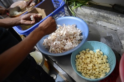 カエルの旅、沼地からフランスの食卓へ インドネシア