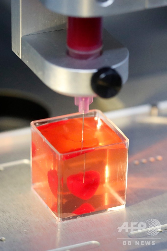 3Dプリンターで「ヒト組織備えた心臓」作製、世界初 イスラエル