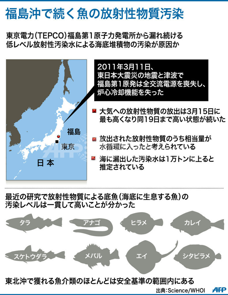福島沖の魚介類、放射性レベル下がらず 国際調査 福島沖の魚介類、放射性レベル下がらず 国際調査