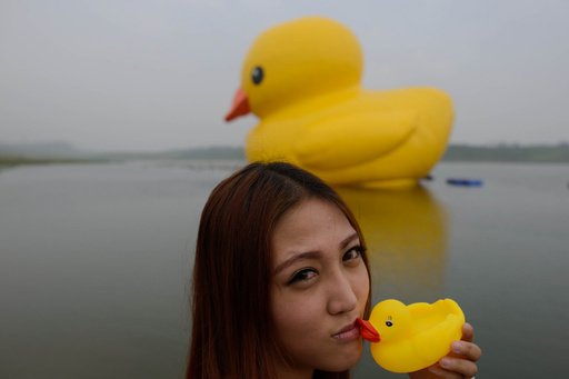 巨大アヒル、本物がついに中国初登場！ただし観覧は有料 写真7枚 国際