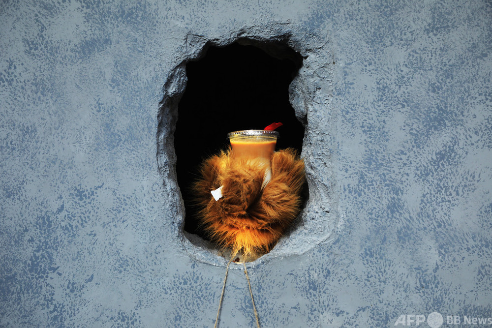 壁の穴からコーヒーをどうぞ 上海の 熊の手コーヒー に行列 写真8枚 国際ニュース Afpbb News